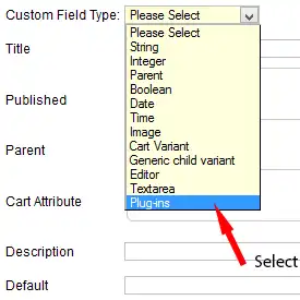 Custom Field