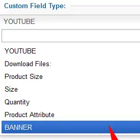 Product Custom Field Type