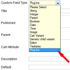 Custom Field