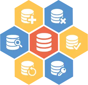 Database Management