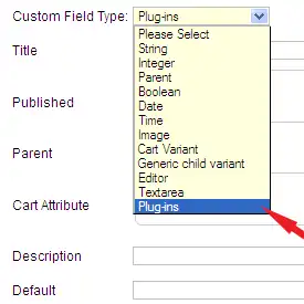 Custom Field