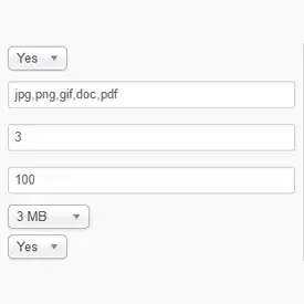 Order Files Upload Plugin Options