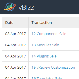 vBizz Account Statement