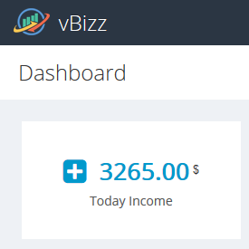 vBizz Dashboard