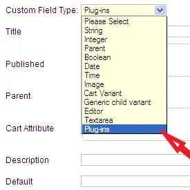 Custom Field